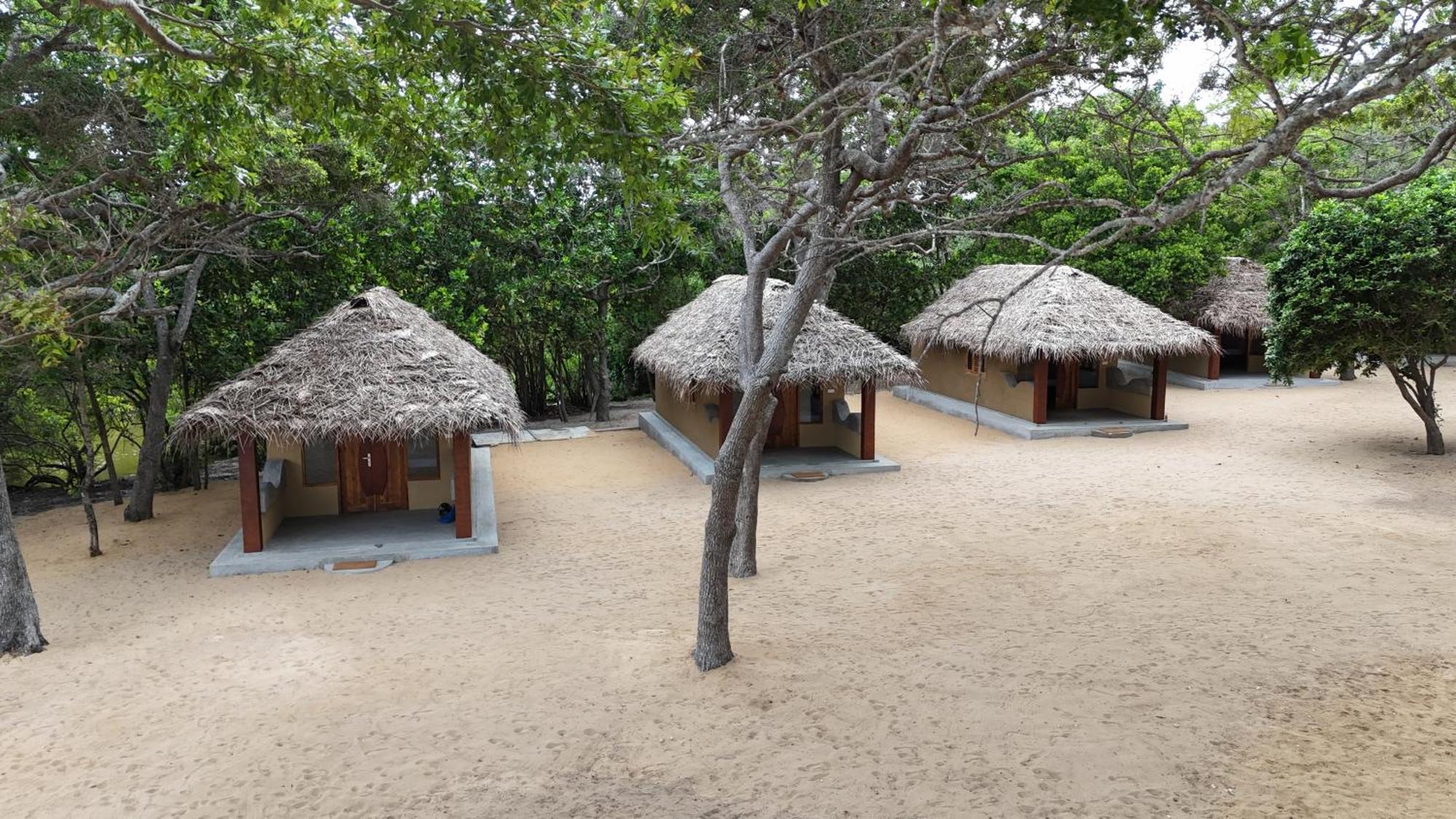 Peanut Farm Surf And Wild Resort - Arugambay Arugam Bay Exterior photo