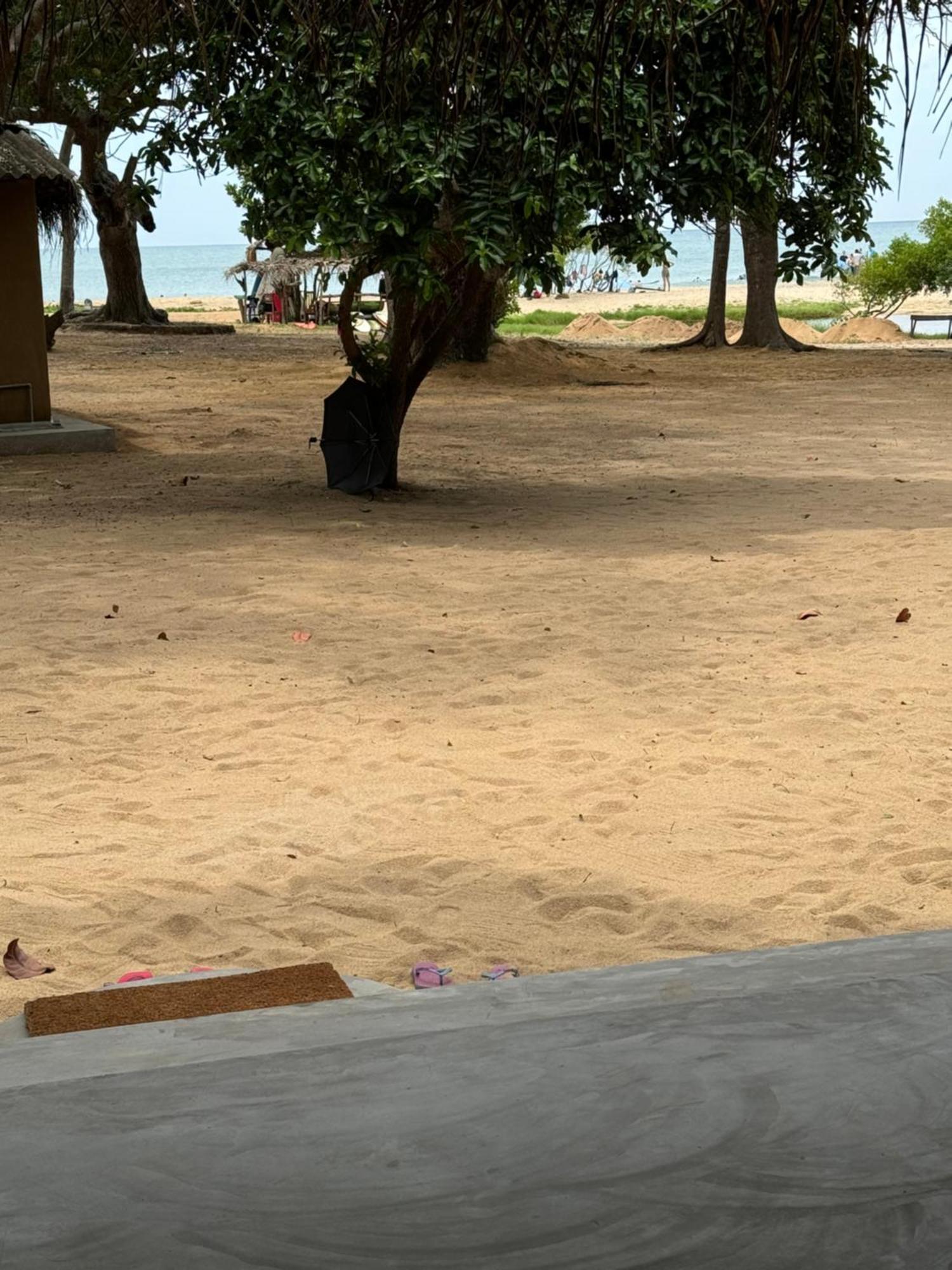 Peanut Farm Surf And Wild Resort - Arugambay Arugam Bay Exterior photo